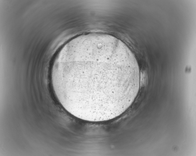 X0000090440291200708102033