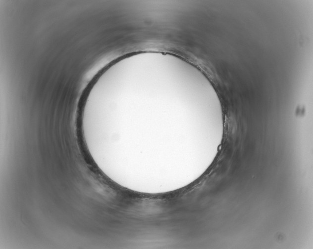 X0000090440292200708102033