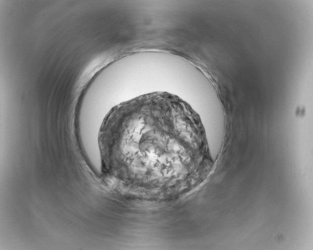 X0000090440293200708102033