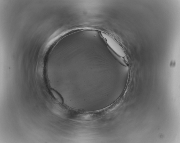 X0000090440295200708102033