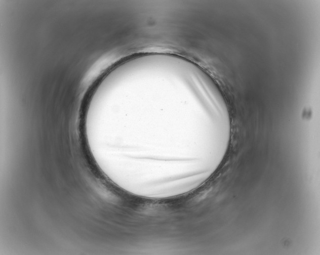 X0000090440296200708102033