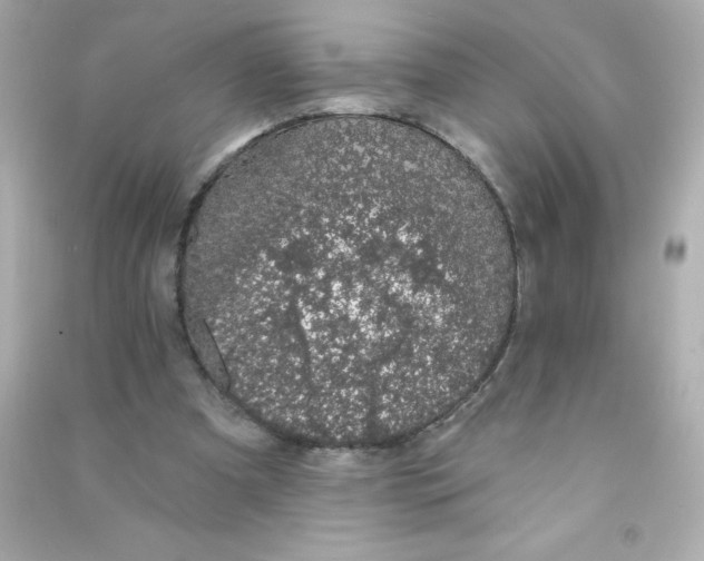X0000090440297200708102033