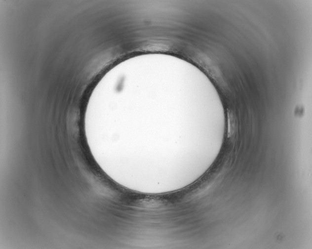 X0000090440300200708102033