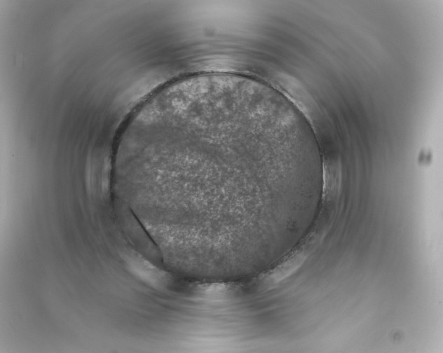 X0000090440301200708102033
