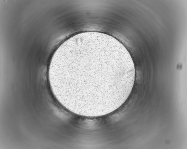 X0000090440302200708102033