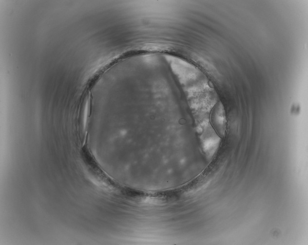 X0000090440303200708102033