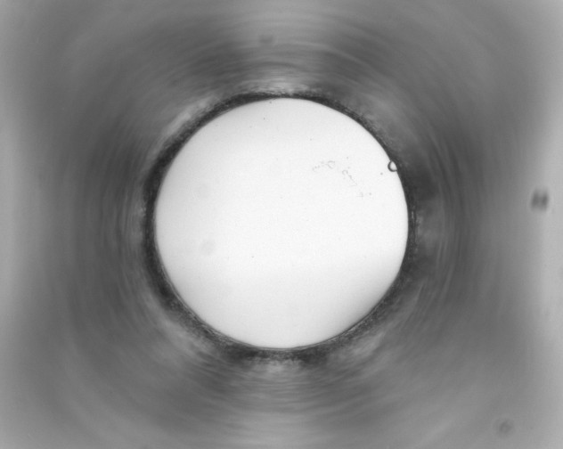 X0000090440304200708102033