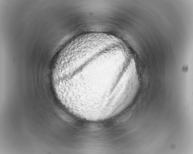 X0000090440305200708102033