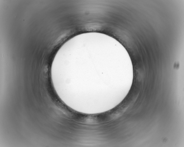 X0000090440308200708102033