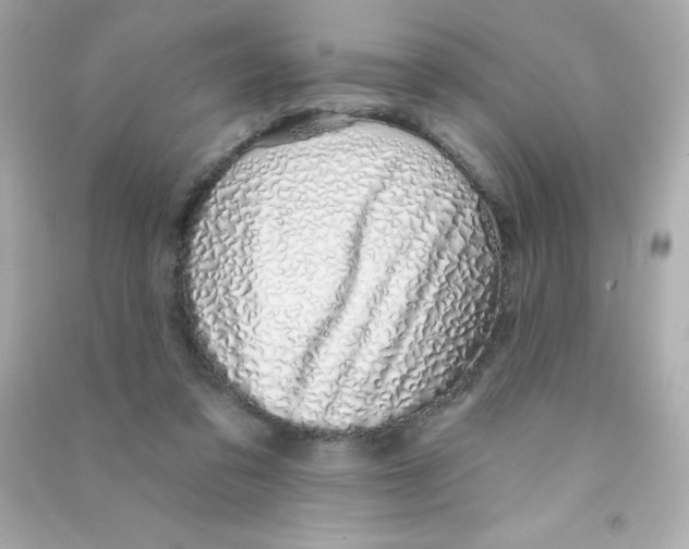 X0000090440309200708102033