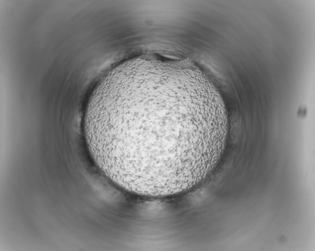 X0000090440310200708102033