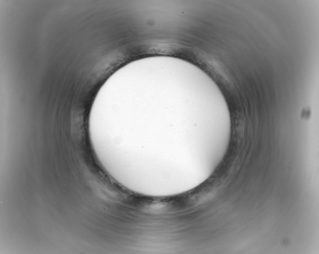 X0000090440312200708102033