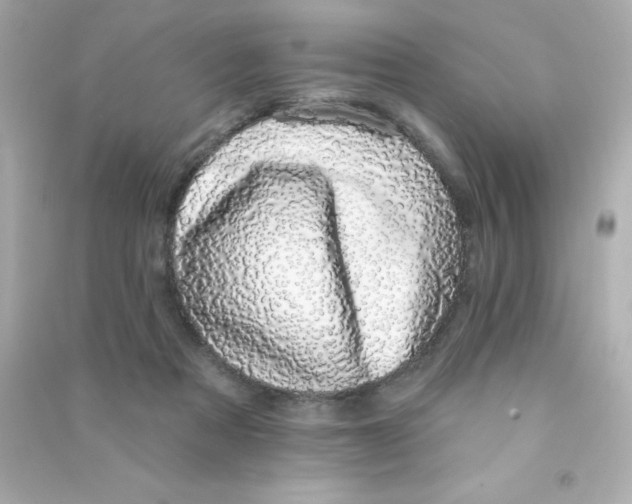 X0000090440313200708102033