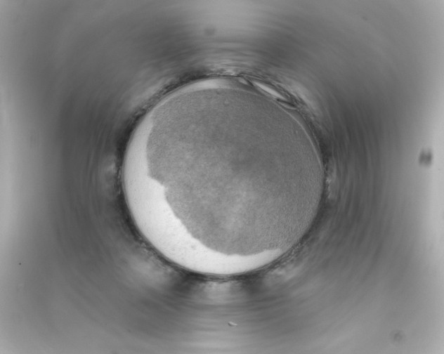 X0000090440314200708102033