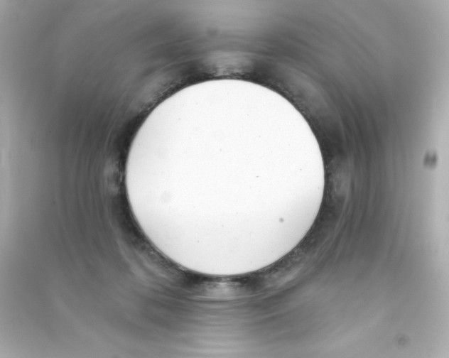 X0000090440316200708102033