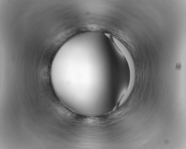 X0000090440317200708102033
