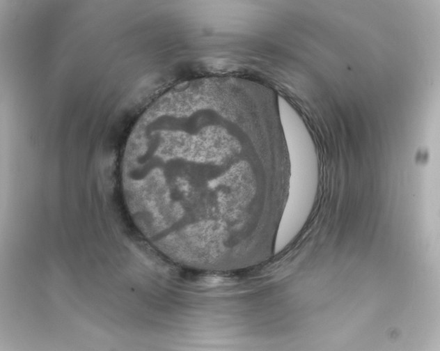 X0000090440319200708102033