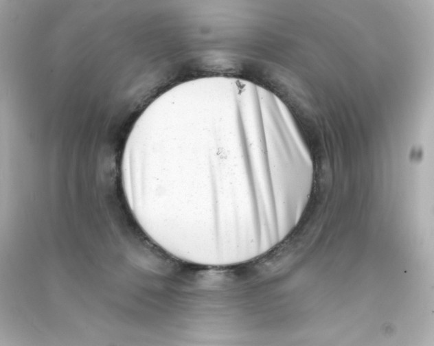 X0000090440320200708102033