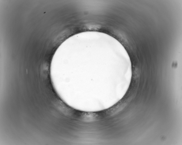 X0000090440321200708102033