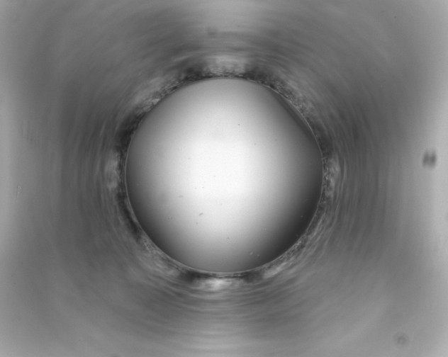 X0000090440323200708102033