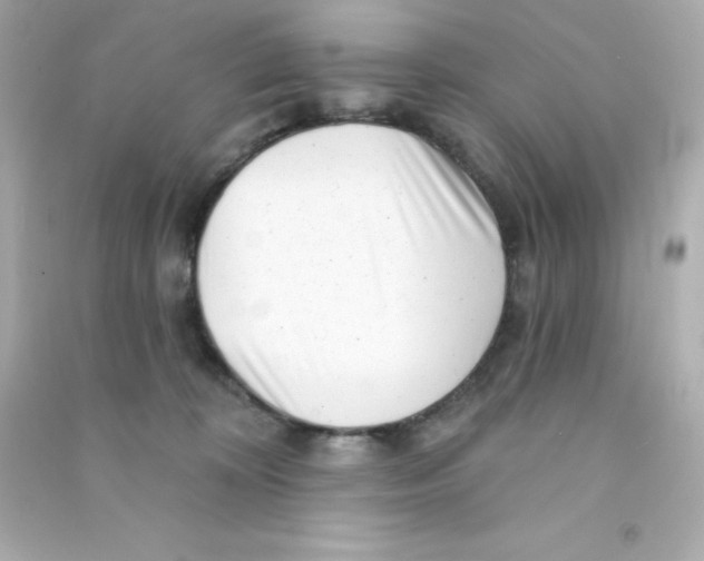 X0000090440324200708102033