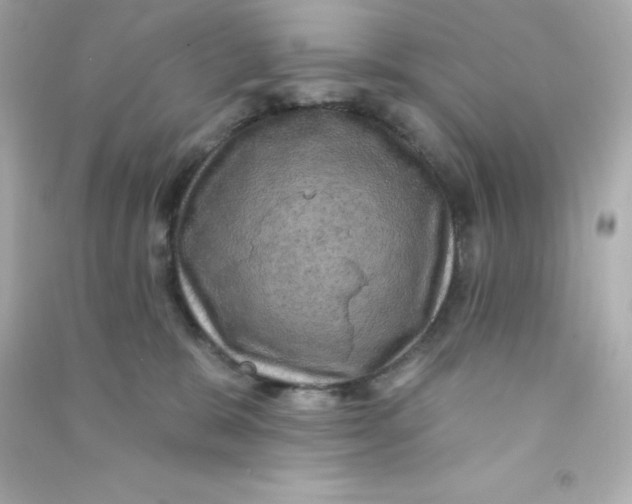 X0000090440327200708102033