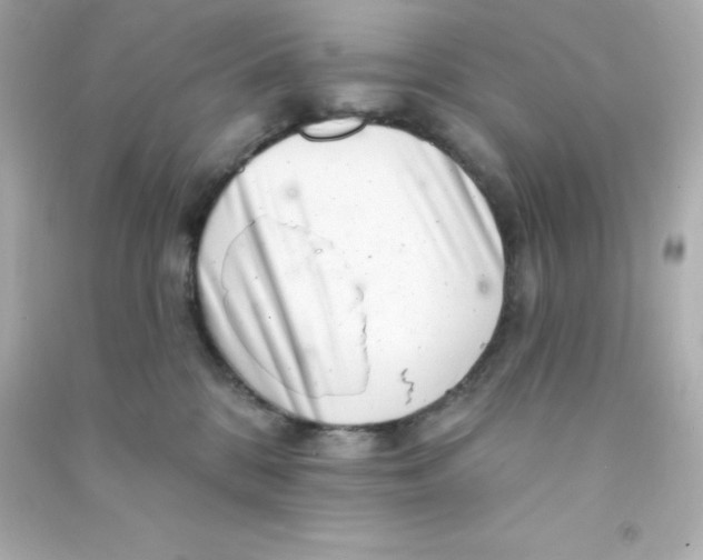 X0000090440328200708102033