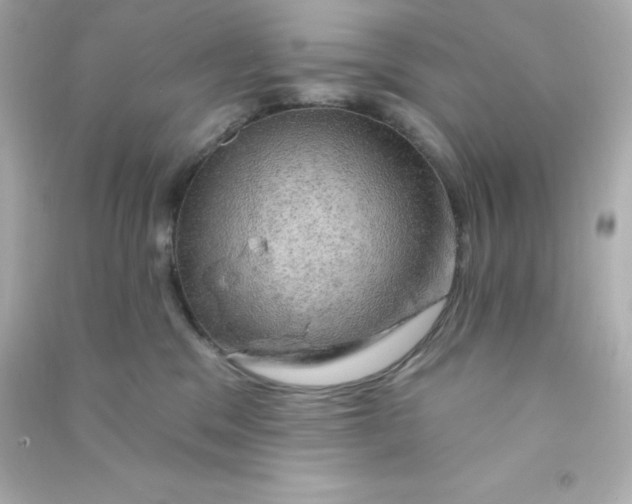 X0000090440329200708102033