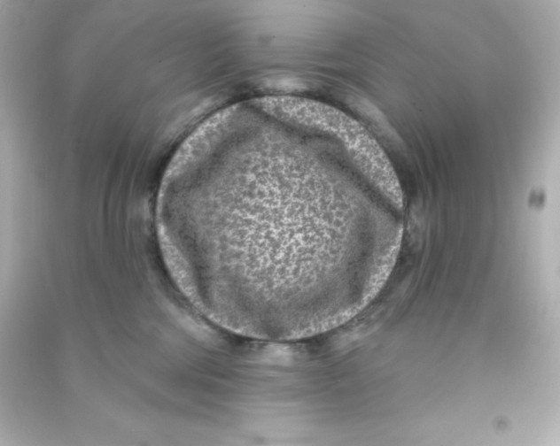 X0000090440330200708102033