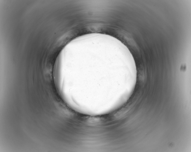X0000090440332200708102033