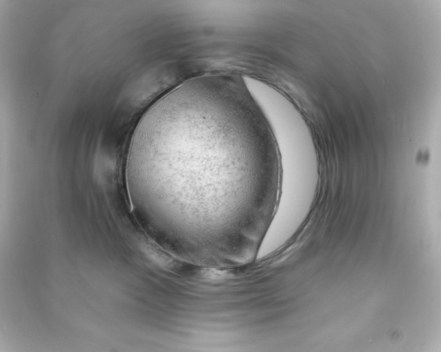 X0000090440333200708102033