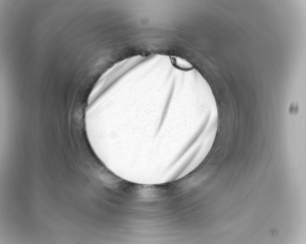 X0000090440336200708102033