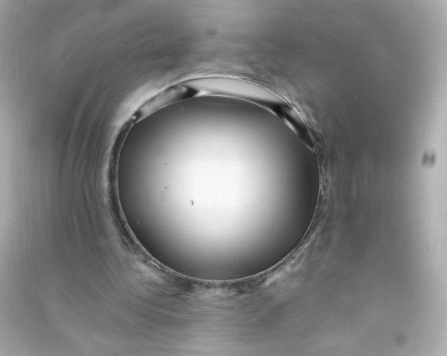 X0000090440340200708102032