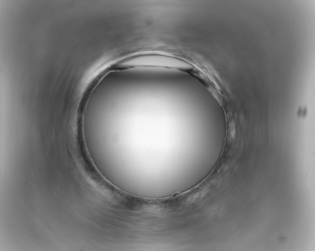 X0000090440344200708102032