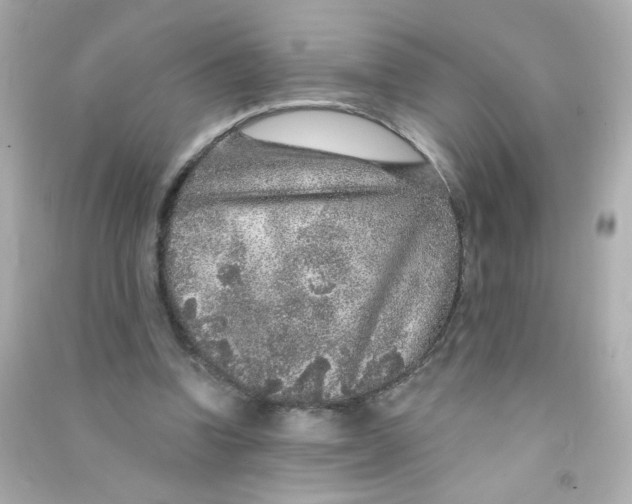 X0000090440346200708102032