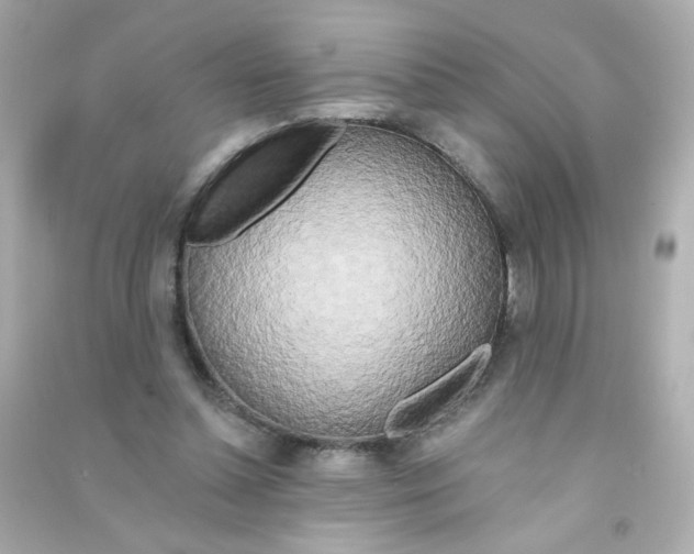 X0000090440348200708102032