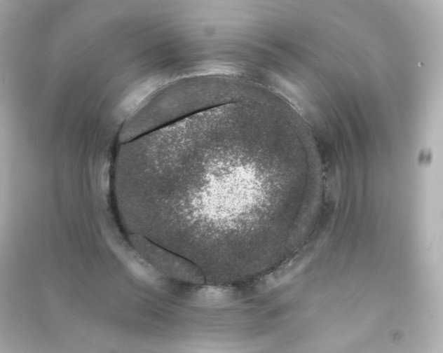 X0000090440350200708102032