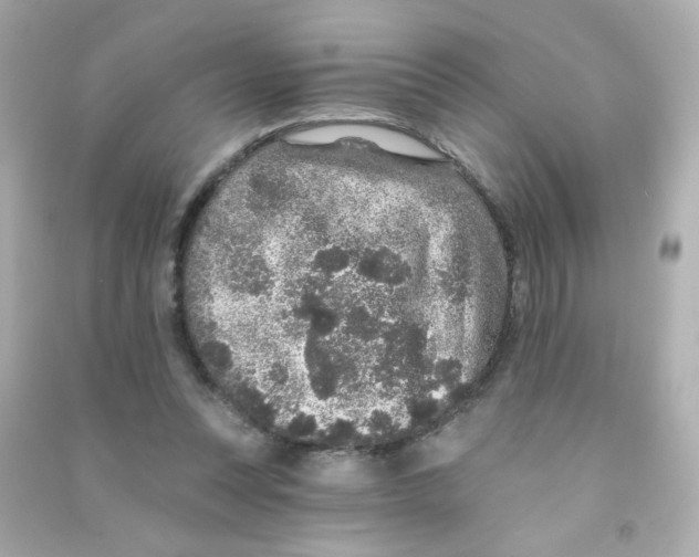 X0000090440351200708102032