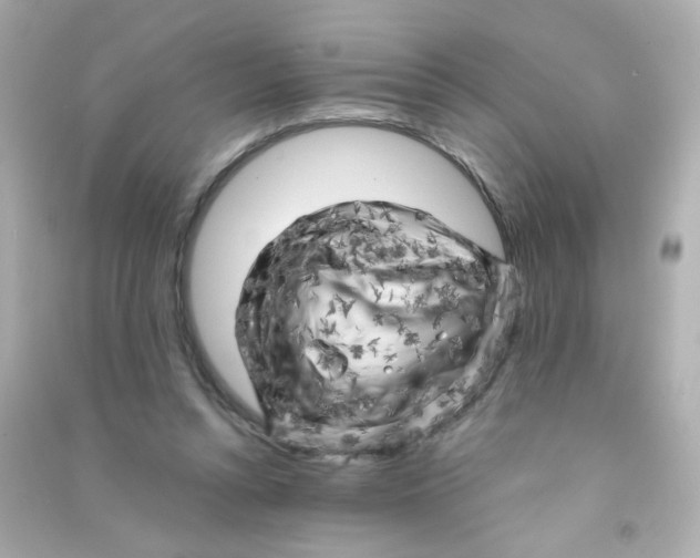 X0000090440352200708102032