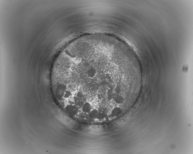 X0000090440353200708102032