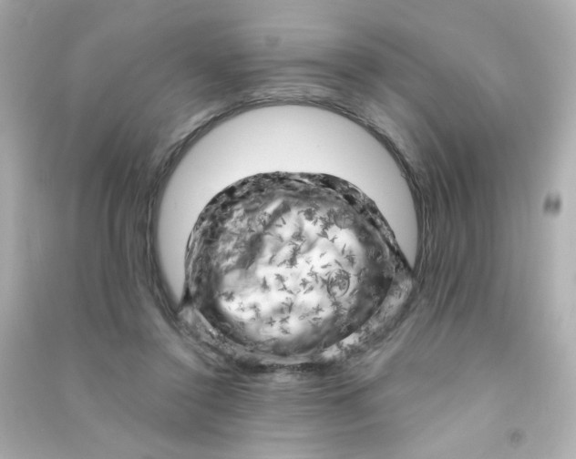 X0000090440356200708102032