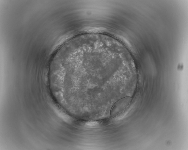 X0000090440357200708102032