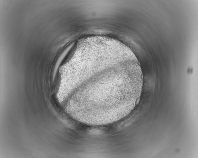 X0000090440358200708102032
