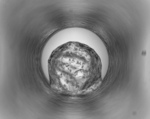 X0000090440360200708102032