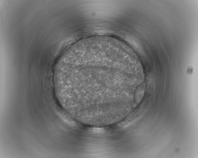 X0000090440361200708102032