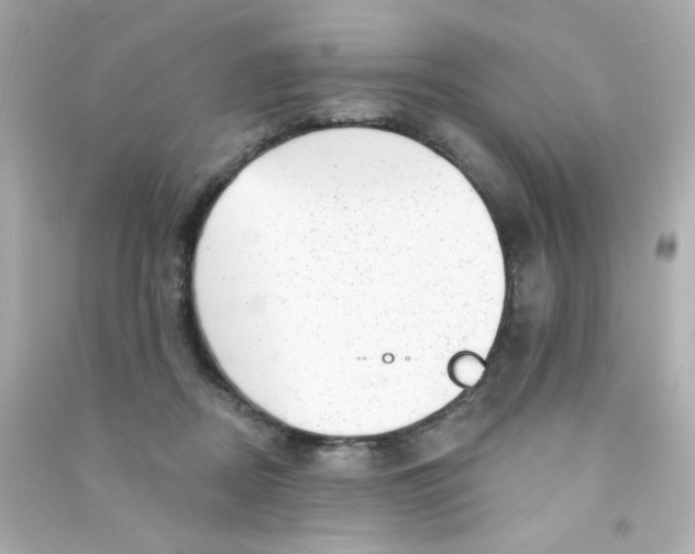 X0000090440362200708102032