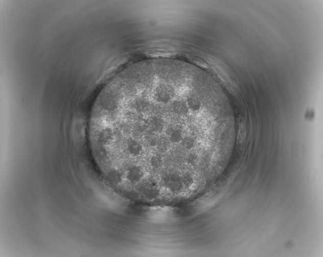 X0000090440363200708102032
