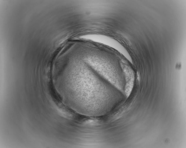 X0000090440364200708102032