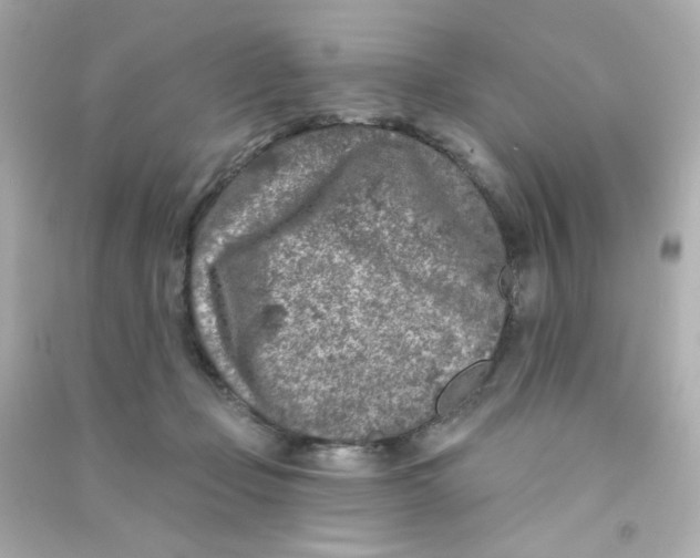 X0000090440365200708102032