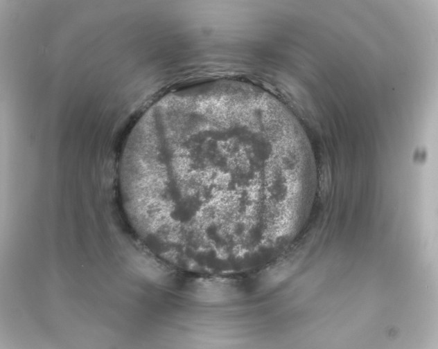 X0000090440367200708102032
